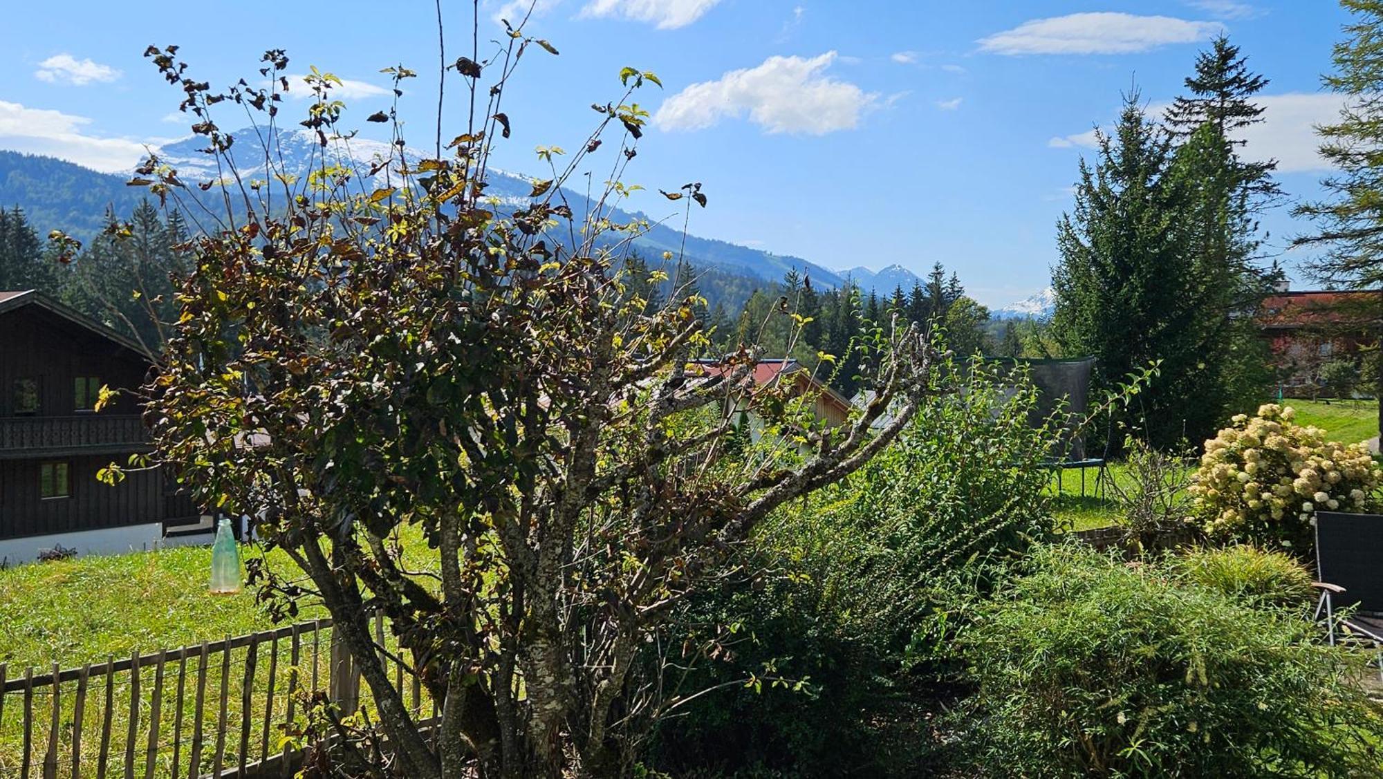 Chalet Weitsee Reit im Winkl Buitenkant foto